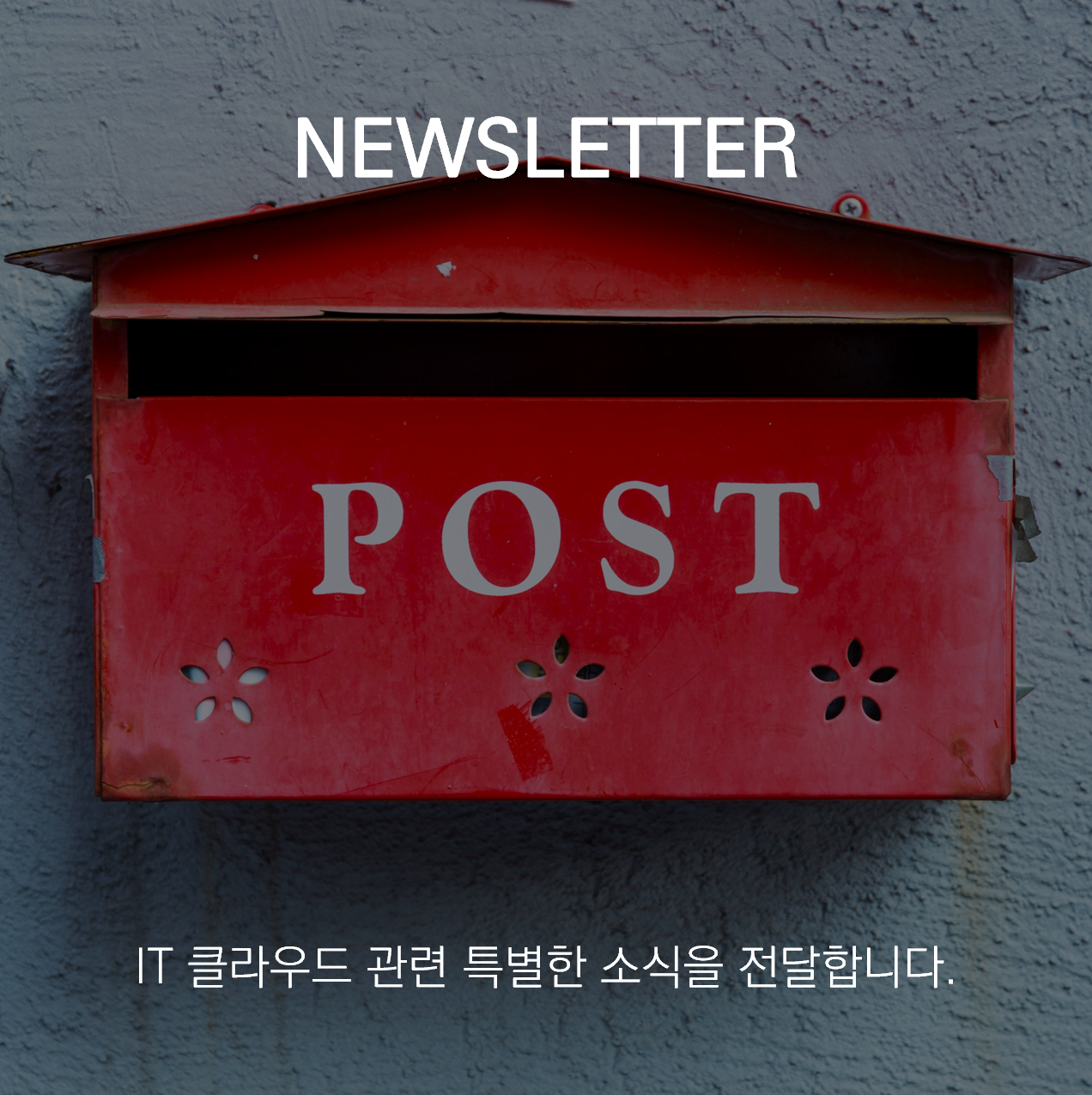 뉴스레터