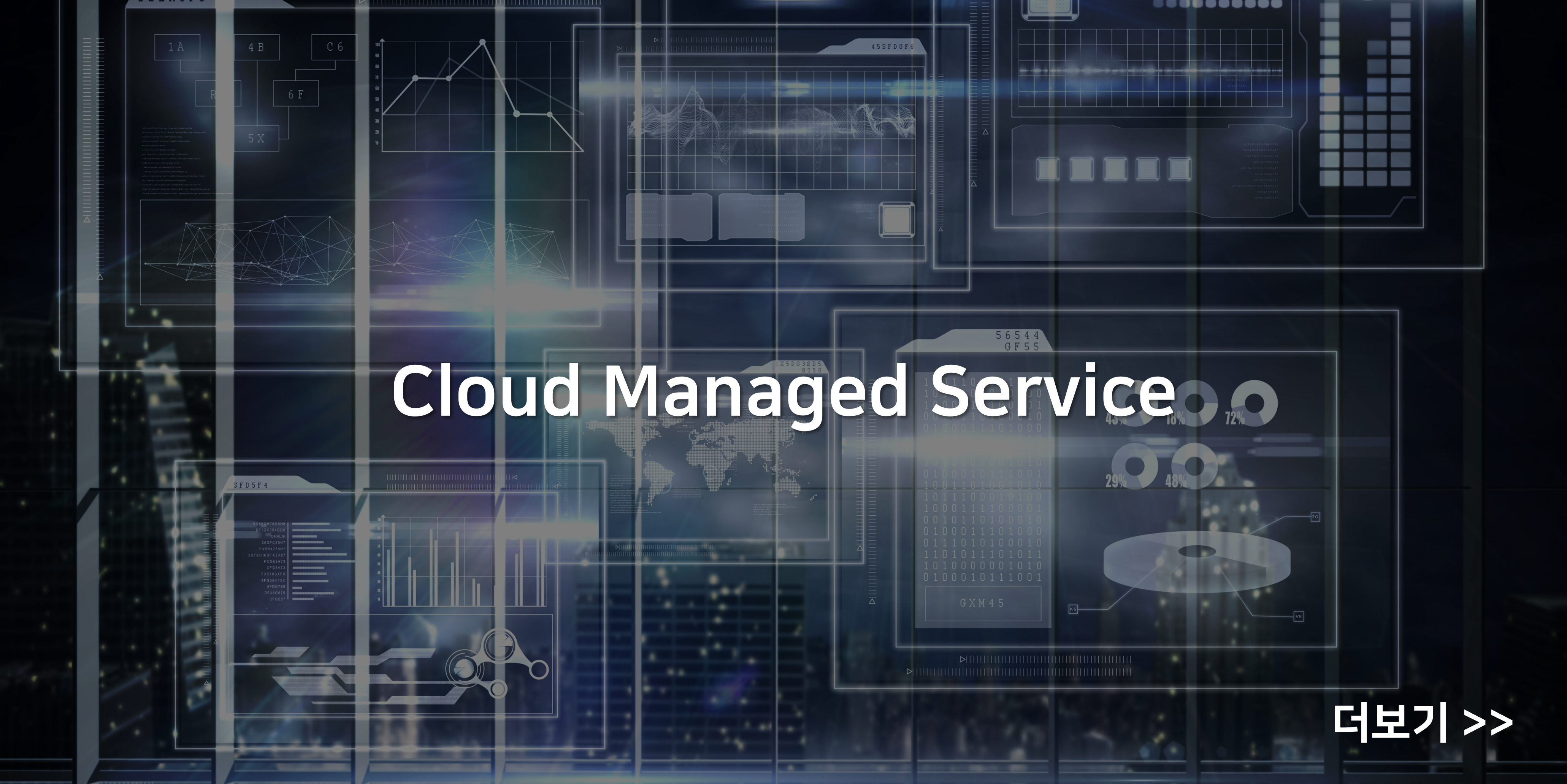 Managed Service